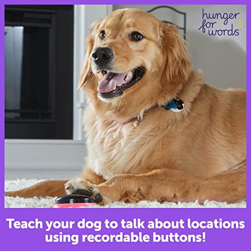 Жажда думи, Говорител на домашен Любимец, Следните местоположение думи - Комплект от 3 части, които се записват Реч бутони за Кучета, Кучешки бутони за комуникация