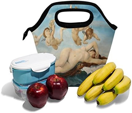 Чанта за обяд Vipsk за възрастни/мъже/Жени/Деца, Митологичния Обяд-Бокс, Водоустойчив Калъф за Носене за Пикник на Открито,