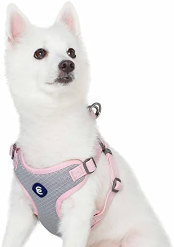 Blueberry Пет Essentials Back to Basics Отразяваща Жилетка за кучета, Карамельно-Розово, Среден, Регулируем Колан за Кучета