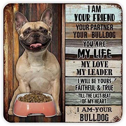 Забавна Метални Табели с Надпис за домашни кучета Аз съм Твой приятел, Ти си Моят живот, Моята Любов, Ретро Знак на Поздрав