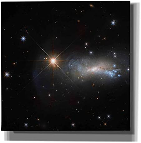 Епична Графити Засенчва Космическия телескоп Хъбъл Жикли Платно на Стенно изкуство, 26 x 26, черен