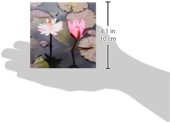 Керамични плочки 3dRose ct_192494_2 Twin Lotus Flower, 6