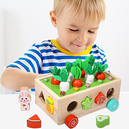 Играчки Rexinc Montessori за момчета и момичета, малки деца 1,2,3,4 години, Подаръци за момичета от 2 години, Дървени Образователни Играчки за сортиране, Подарък За предучилищн
