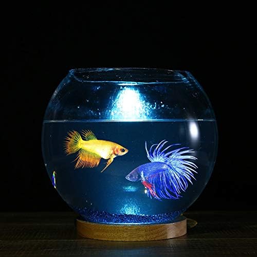 WPYYI Творчески аквариум за дневна, малък настолен аквариум, стъклен кръгъл аквариум, лека нощ, украса за мини аквариум