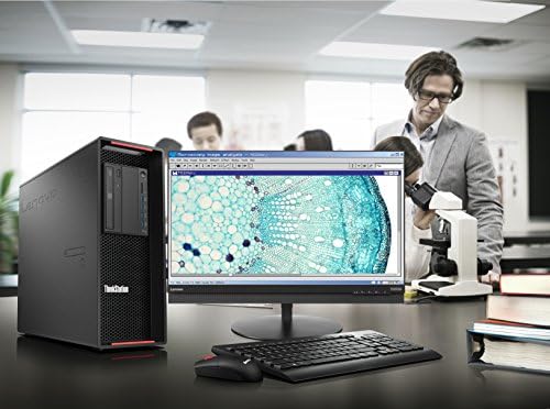 Работна станция Lenovo 30B5001HUS P510, Intel Xeon E5-1620 v4, 8 GB оперативна памет, твърд диск с капацитет 1 TB, Windows