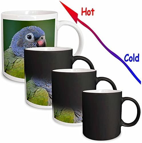 3розовый голубоголовый папагал, Pionus menstruus, Тропически гори на Амазонка, Венецуела. - Чаши (mug_228832_11)