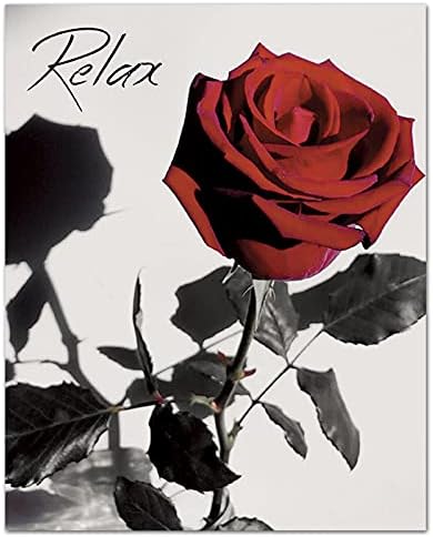 NOROUOV Модерни Червени Рози, Цветя в Сиво Книги Стенни Художествени Картини Комплект от 4 (Платно размер 8X10