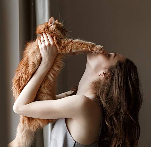 ALEXTINA Мъжко Женско Средство За облекчаване на стреса От Неръждаема Стомана 8 мм Фабрика Пръстен Animal Cat Band