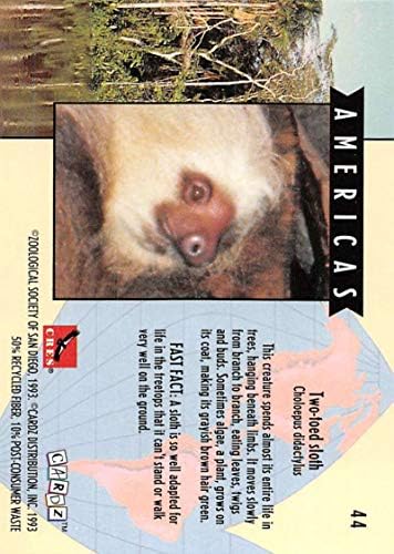 1993 Cardz Световно Известната зоологическа градина на Сан Диего Стандартен размер Неспортивная Търговска карта №44 Двухпалый