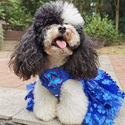 WZHSDKL Дрехи за кучета ръчно изработени, Великолепна Кралска Синя Бродерия 3D Цветя, Ламинирано рокля от тюл, рокля на принцеса за домашни котки, Пудел (Size: X-Large)