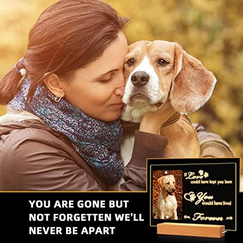 Персонални Сувенири BAMTALK за домашни любимци, Рамка за снимки с Нощно Осветление за куче или Котка, Запомнящи се Подаръци