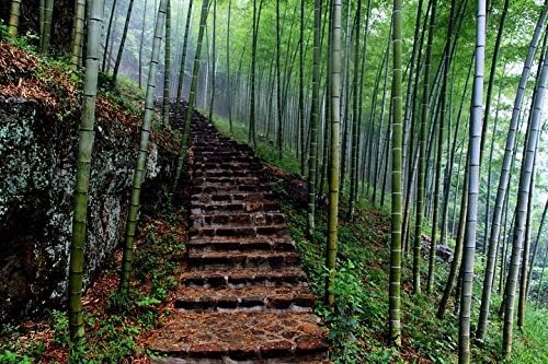 Суха метла (Метла, Създадена за природата, Изработена от бамбук, е на Разположение за бързо почистване на Паднали листа,