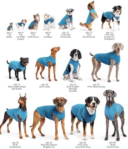 Пуловер за кучета Gold Paw Duluth с двойно флисом – Меки, топли дрехи за кучета, 4-Лентов Еластичен Пуловер за домашни