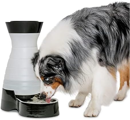 Пиенето за домашни любимци PetSafe Healthy - Голям капацитет 320 грама - Самотековая пиенето за кучета и котки - Свалящ