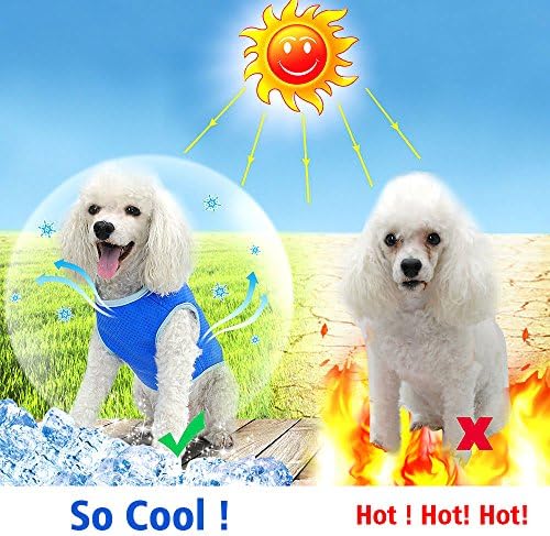 Охлаждащ Жилетка за кучета Zunea за малки, Средни и Големи Кучета, Лека Лятна яке-Охладител в Блатото, Меки