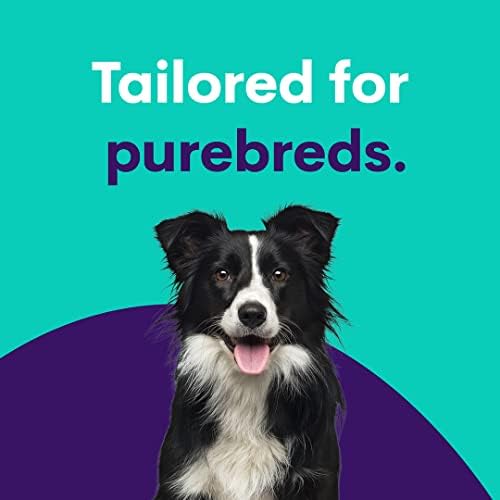 Комплект за тестване на ДНК кучета ORIVET - Пълен профил на породата Френски булдог | Тестване кученце на 250 медицински рискове