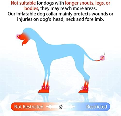 Мек регулируем нашийник с конус за малки и средни кучета, предпазва възстановяване след операция, Предпазва от контакт