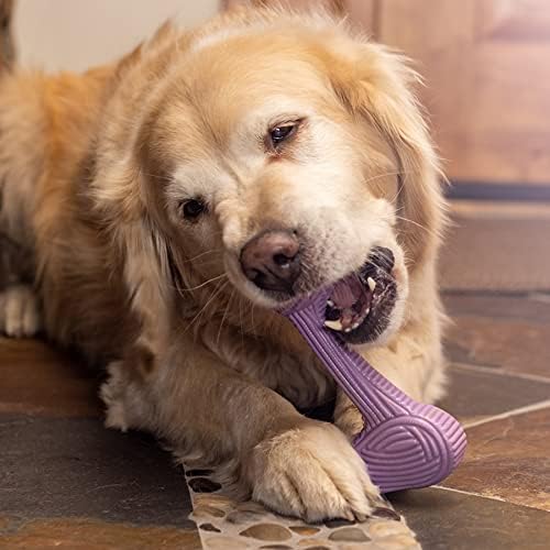 Играчка за агресивни дъвчащи кучета HuggleHounds - Сверхпрочная Интерактивна играчка за кучета - Дъвка играчка за теглене въже за всички породи - Нетоксичная каучук - Таф?
