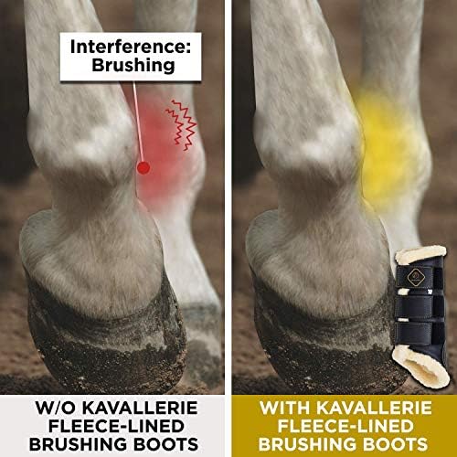 Обувки за обездка коне Kavallerie: Обувки от изкуствена кожа с подплата отвътре за тренировки, хмел, конна