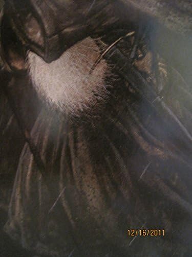 Плакат на изобразителното изкуство LOTR Hobbit в рамката на ГАНДАЛФ 2-ро Издание 1999 JOHN HOWE