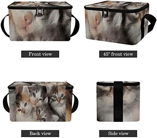 Чанта за обяд GUEROTKR за Мъже, Изолиран Обяд-Бокс, Кутия за Обяд и за Възрастни, с изображение на животно котка