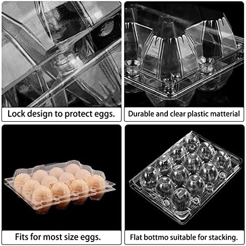 GRRONZEE 40 Опаковки Пластмасови Кутии от яйца Евтино на Едро, 1 Дузина Прозрачни Празни Кутии от яйца за Кокошите яйца, Множество