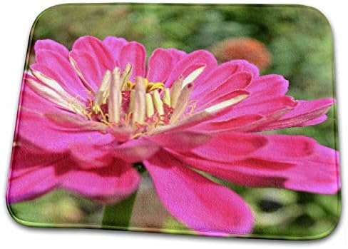 Триизмерна точка на преглед - Цвете zinnias - Цветя - Макросъемка - Постелки за баня (rug-36301-1)