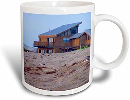 Керамична чаша 3dRose mug_184404_1 Beach House Sand Sandpiper Birds Флорида, 11 Грама