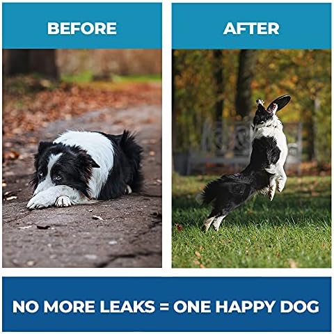 BestLife4Pets Dog Health Care Combo - Естествени витамини и добавки за кучета - Всичко, естествено, е лесно приемат