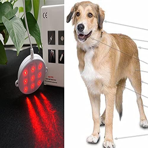 Релаксираща лазерна терапия за кучета и домашни любимци - Лазерна терапия червена светлина за облекчаване на болки в мускулите и ставите, при артрит при кучета, нам