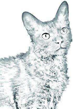 Арт Дог Оод. Лапермский Котка, Овално Надгробен камък от Керамични плочки с Изображение на котка