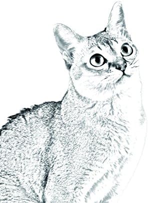 Арт Дог Оод. Сингапур котка, Овално Надгробен камък от Керамични плочки с Изображение на котка