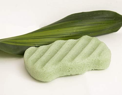 NORI основната коняк SPONGE Body Зелен чай /НАТУРАЛНО ВЛАКНО/ За всички типове кожа/ Почиства и ексфолира кожата/Ежедневното