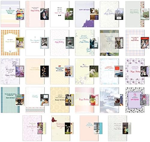 Комплект от 56 Поздравителни картички SHADE TREE на рожден Ден с Отметки от Paper Street (56 опаковки)