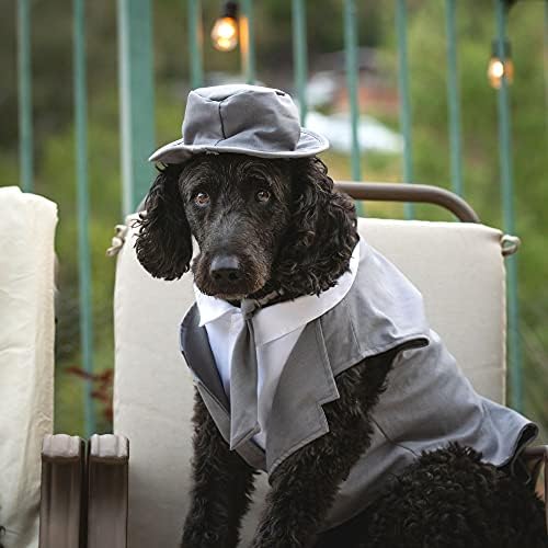 Сватбен костюм Смокинг за кучета Мидли - Сив цилиндър и Каишка (5XL)