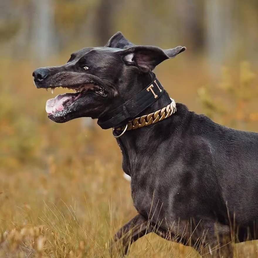 Златни Нашийници за големи Кучета, Куче на Златна Верижка с Дебелина 32 мм, Метални Подпори-на веригата за кучета