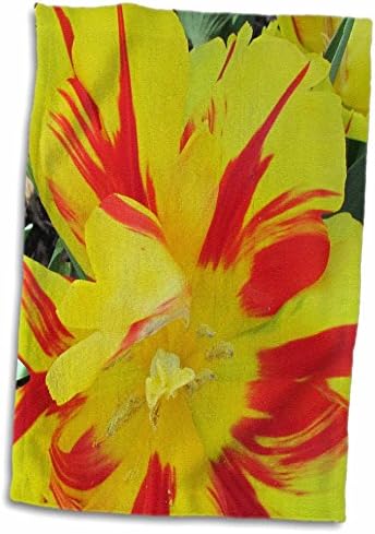 3. Цветя Джаки Попп - Жълто лале - Кърпи (twl-195129-3)