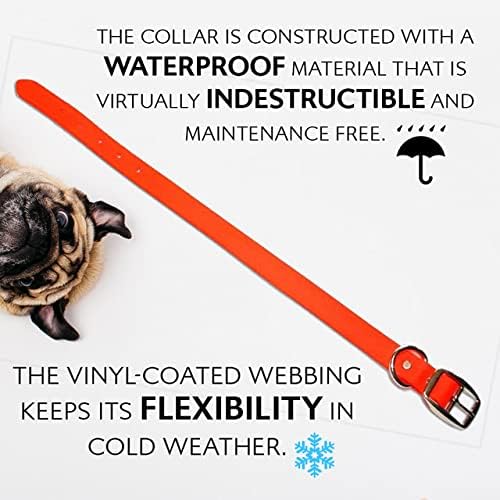 Regal Dog Products Малко Оранжево Водоустойчив нашийник за кучета с тежка рамка двойна катарама и D-образен пръстен | С Винил