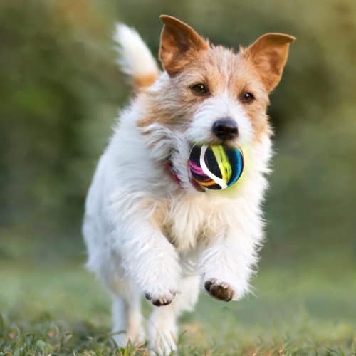Тенис Топки за Кучета, Забавни Писклив Играчки за Кучета, детски Играчки за Дъвчене за упражнения и дресура | 6 Опаковки