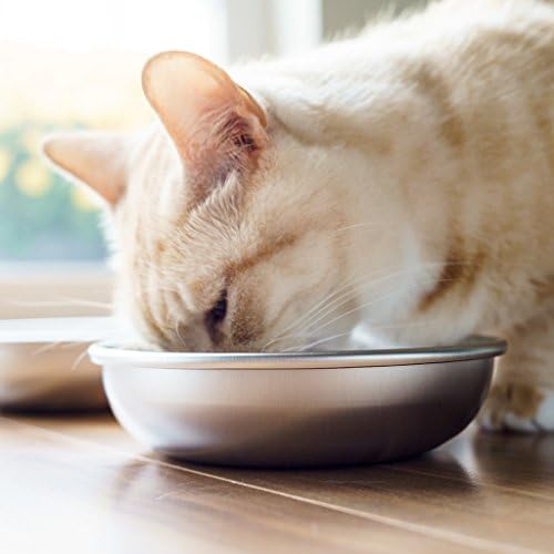 Купички за котки от неръждаема стомана за храна и вода от Americat – Произведено в САЩ – Могат да се мият в съдомиялна