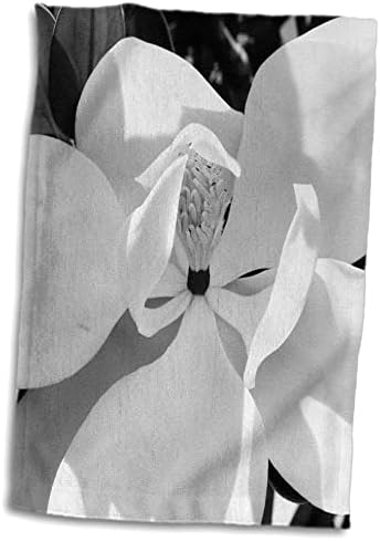 Кърпи 3dRose Florene Black n White - B (n) W Magnolia - Черно-бели (twl-19965-1)