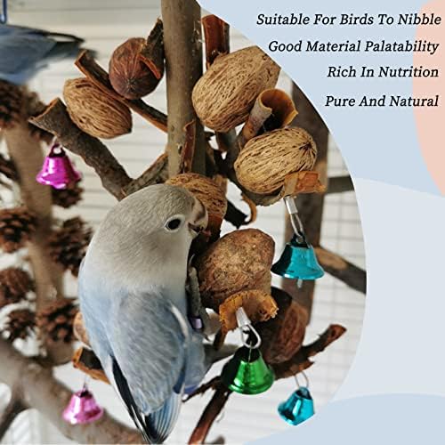Играчки за птици, Играчки за Папагали Люлка за Птици Корелла Орехова Кора Играчки За Дъвчене Птици Подходящото Бижу