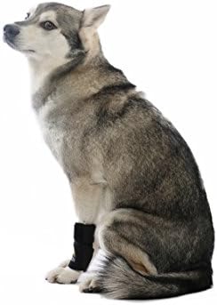 AGON® Двойка бандажей за предните лапи кучета Компресия тайна за лапа със защита от еластична Превръзка на