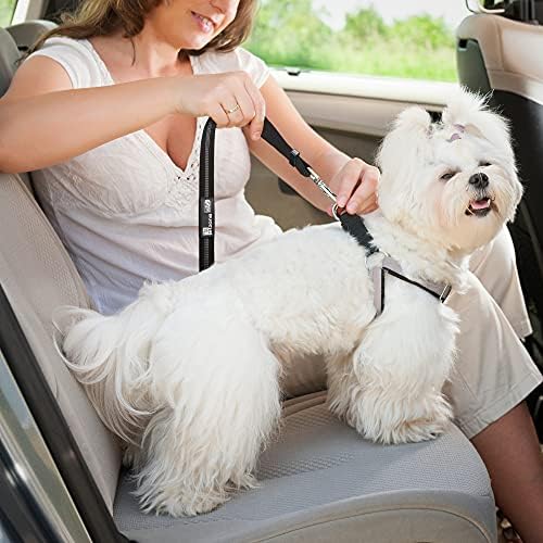 Предпазен колан за куче в автомобил - на каишка и задържане на устройството 2 в 1 са приложени към подголовнику. Регулируема